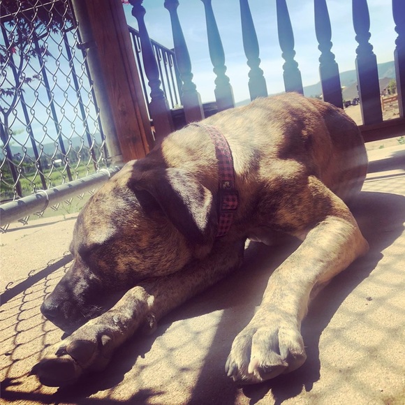 Meet your Posher, Robyn - Picture 1 of 1